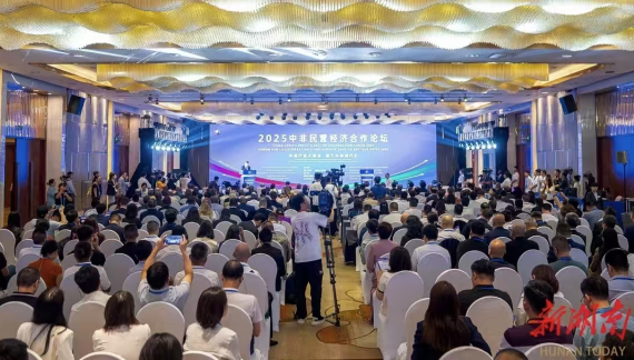 共促产业大融合 聚力中非现代化 | 我会党支部书记、会长杨秀参加2025中非民营经济合作论坛
